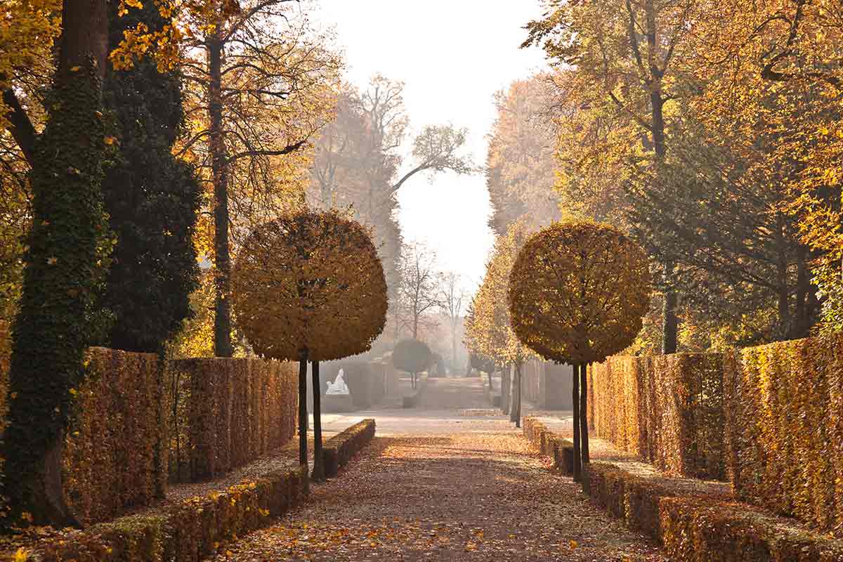 schloss schlossgarten schwetzingen baden-württemberg kurfürst karl friedrich sommer residenz