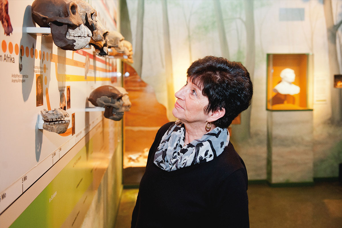 schädel fund urmensch reiss engelhorn museen mannheim schädel fund urmensch reiss engelhorn museen mannheim