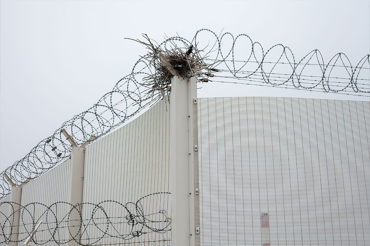 Biennale für aktuelle Fotografie 2022 Michal Iwanowski Go home Polish Biennale für aktuelle Fotografie 2022 Michal Iwanowski Go home Polish