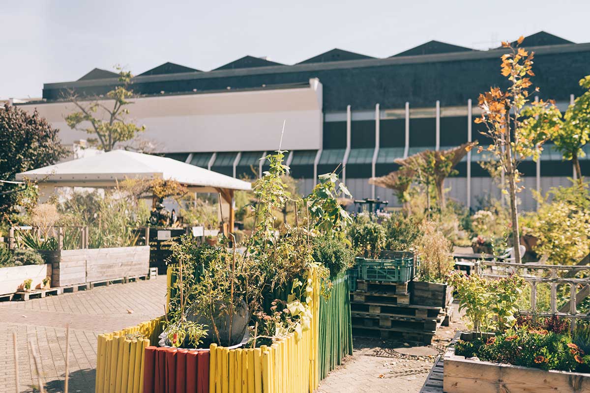 wilhelm hack museum ludwigshafen hackgarten wilhelm hack museum ludwigshafen hackgarten