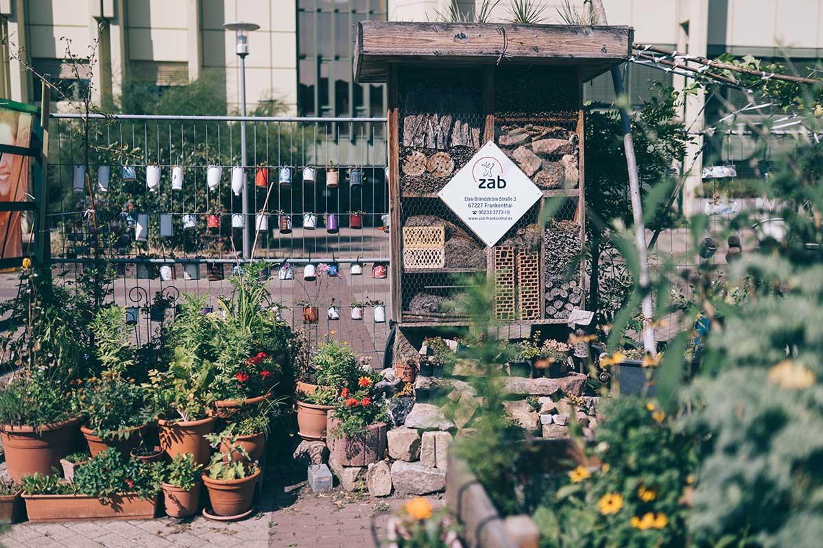 wilhelm hack museum ludwigshafen hackgarten wilhelm hack museum ludwigshafen hackgarten