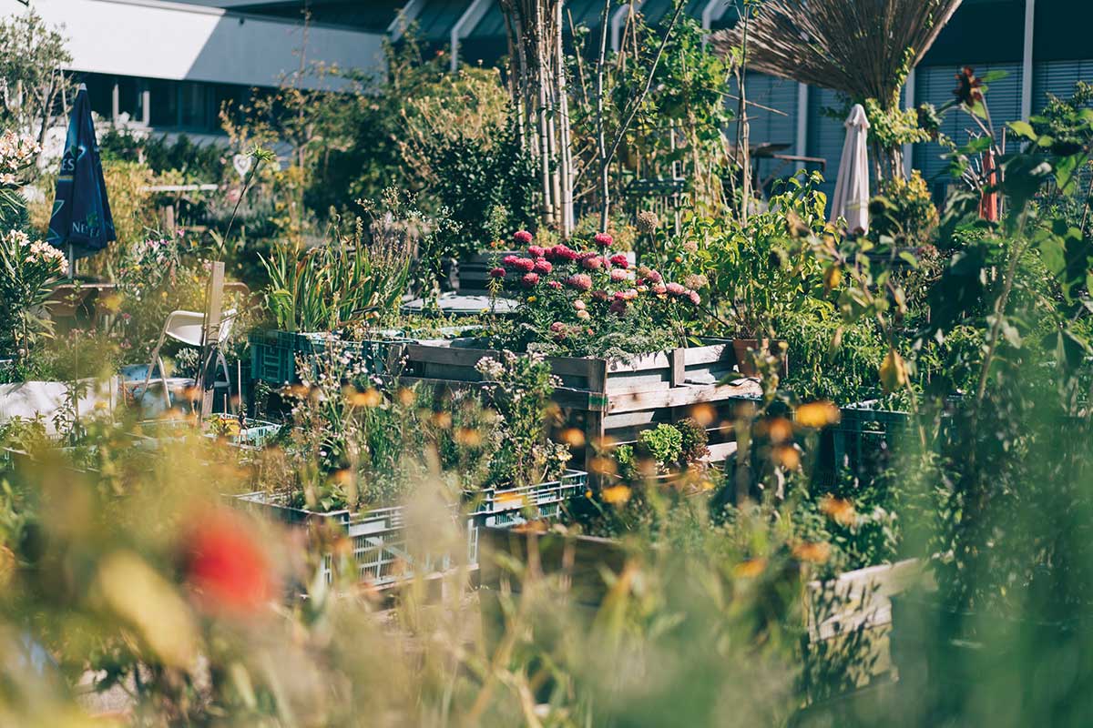 wilhelm hack museum ludwigshafen hackgarten wilhelm hack museum ludwigshafen hackgarten