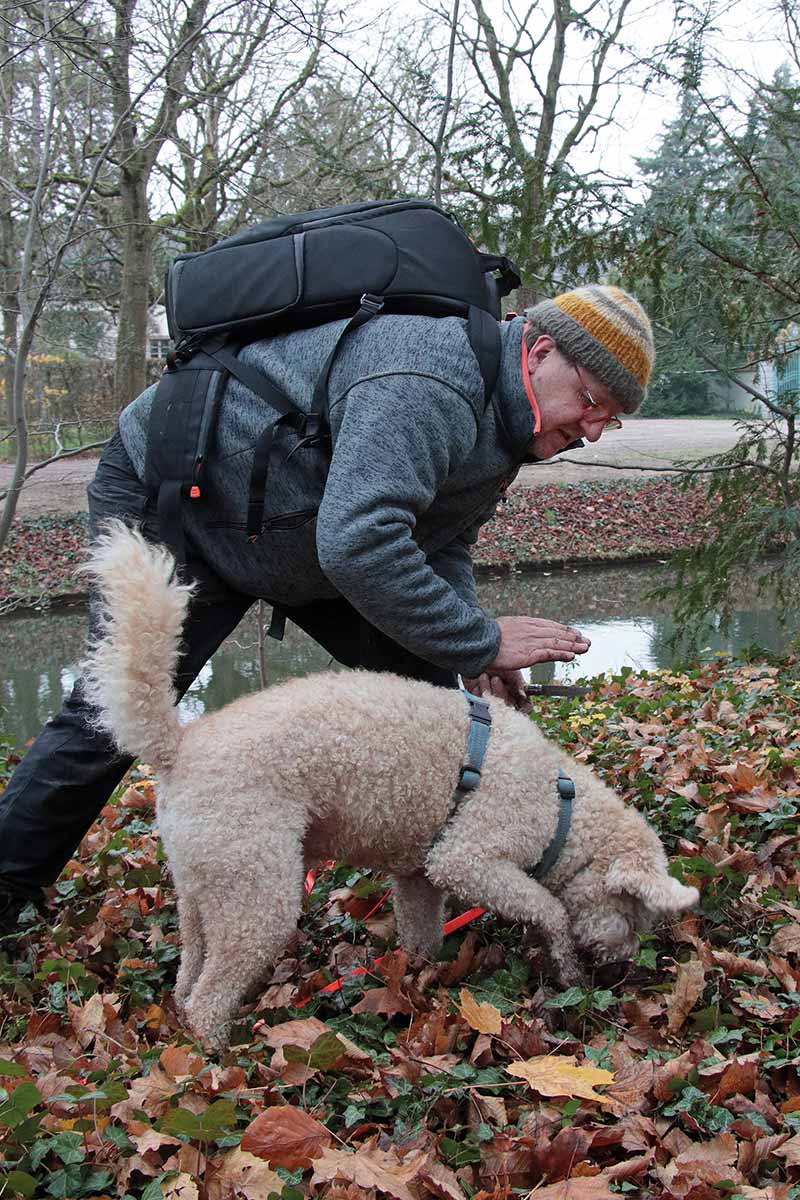 schlösser gärten baden württemberg schwetzingen schlossgarten trüffel hund snoopy